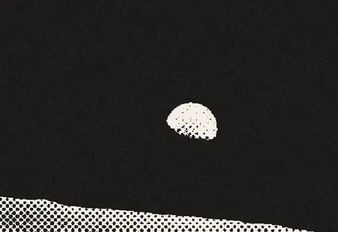 Newsprint halftone made with Gridloom