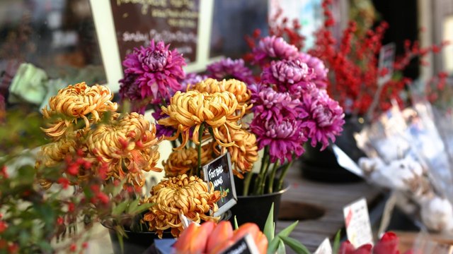 Google Business Profile cover photo made with this tool: a 1280×720 JPEG of chrysanthemums and dahlias in buckets at a flower stall, with handwritten price cards