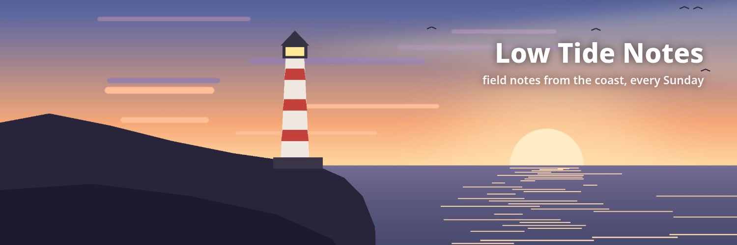 X header made with this tool: 1500×500 JPEG with the profile photo where x.com puts it